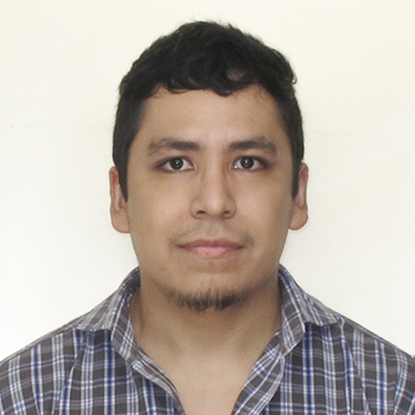 perfil